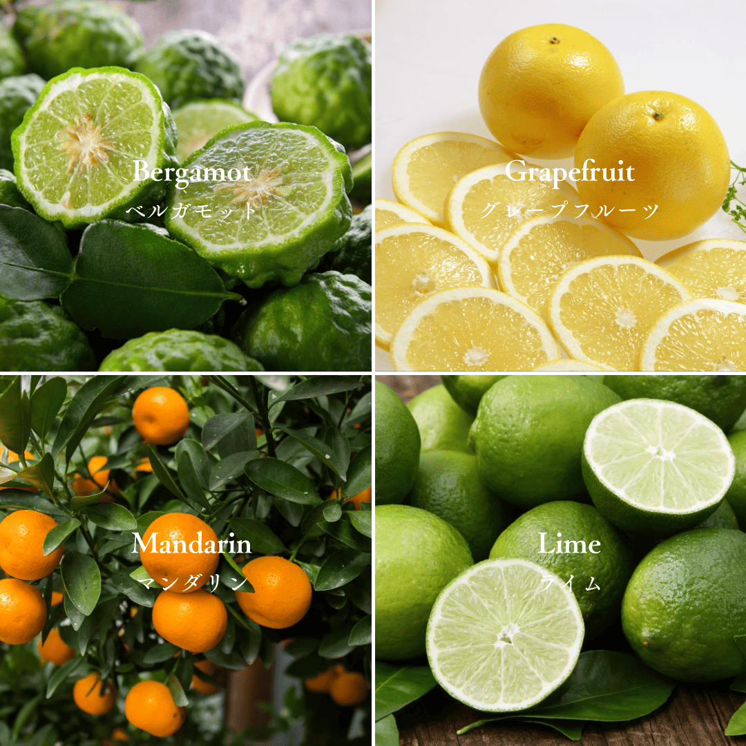【Scents of #the scents 】#the scents original blend oil