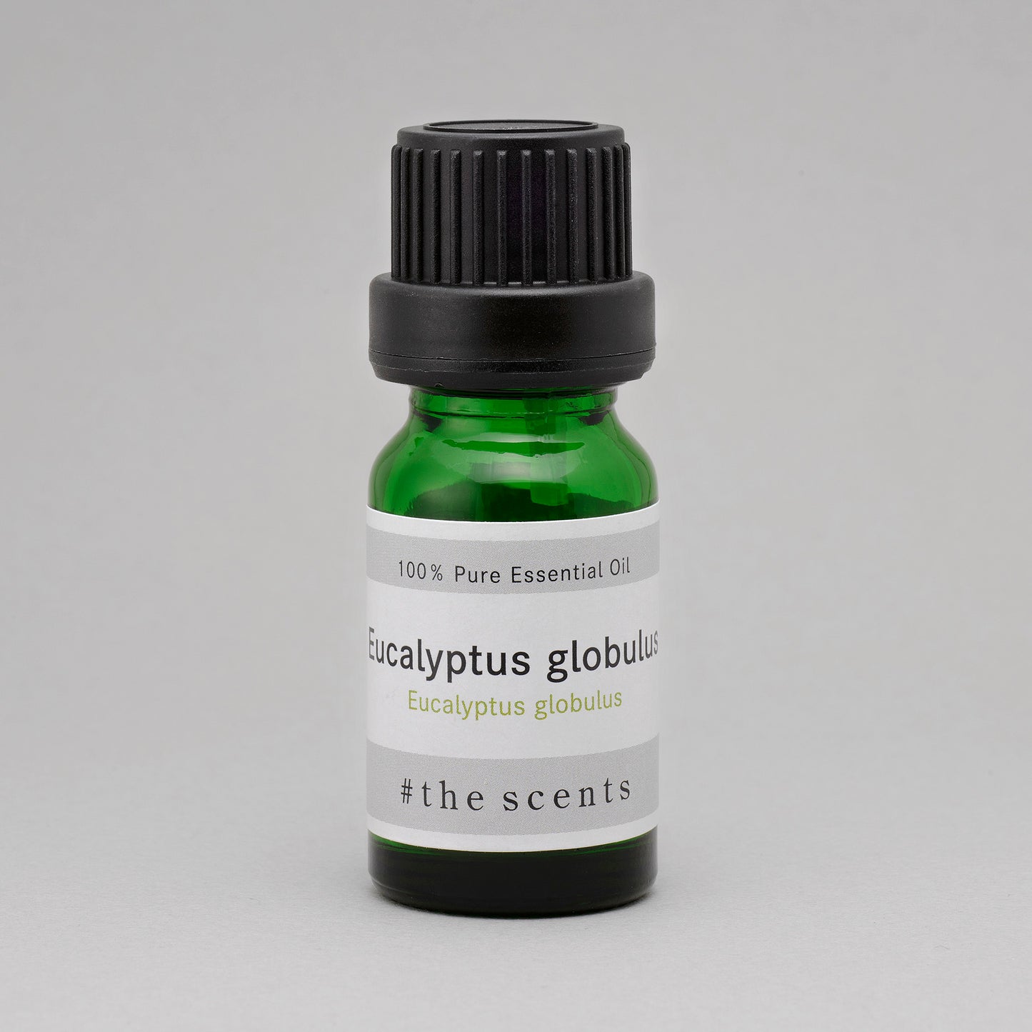 Eucalyptus globulus(ユーカリ・グロブロス)