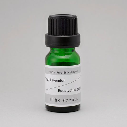 True Lavender & Eucalyptus globulus  (ラベンダー・アングスティフォリア & ユーカリ・グロブロス)