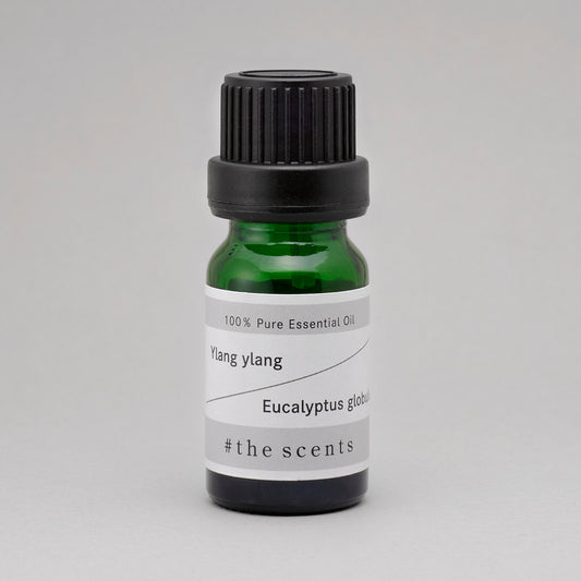 Ylang ylang & Eucalyptus globulus  (イランイラン & ユーカリ・グロブロス)