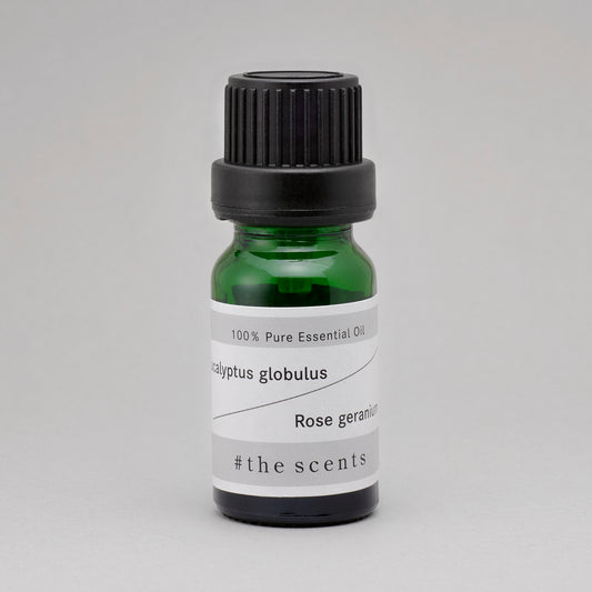 Eucalyptus globulus & Rose geranium  (ユーカリ・グロブロス & ローズゼラニウム)