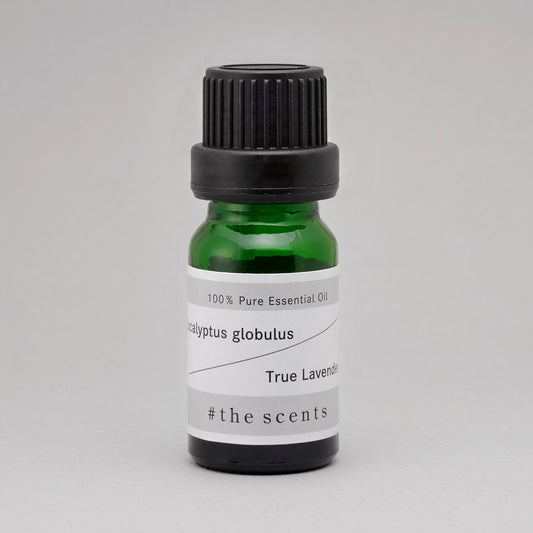 Eucalyptus globulus & True Lavender  (ユーカリ・グロブロス & ラベンダー・アングスティフォリア)