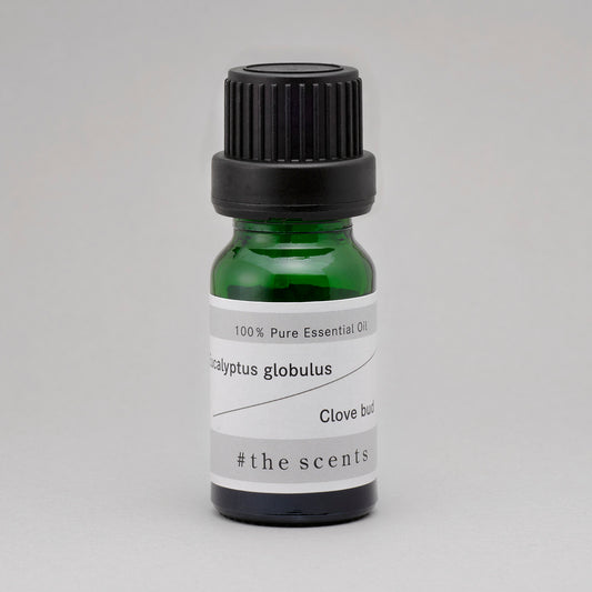 Eucalyptus globulus & Clove bud  (ユーカリ・グロブロス & クローブバット)