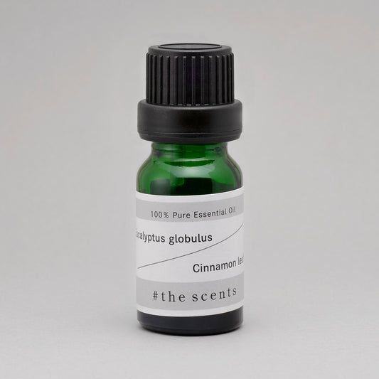 Eucalyptus globulus & Cinnamon leaf  (ユーカリ・グロブロス & シナモン・リーフ)
