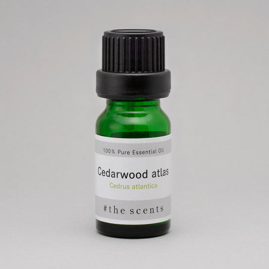 Cedarwood atlas(シダーウッド・アトラス)