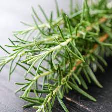 Rosemary cineole(ローズマリー・シネオール)