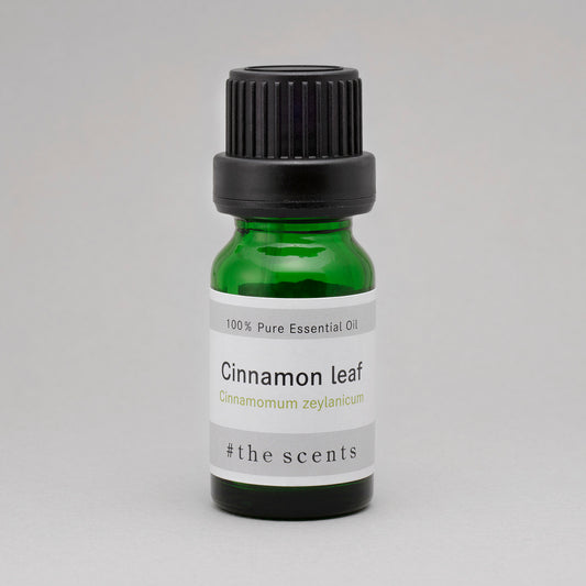 Cinnamon leaf(シナモン・リーフ)