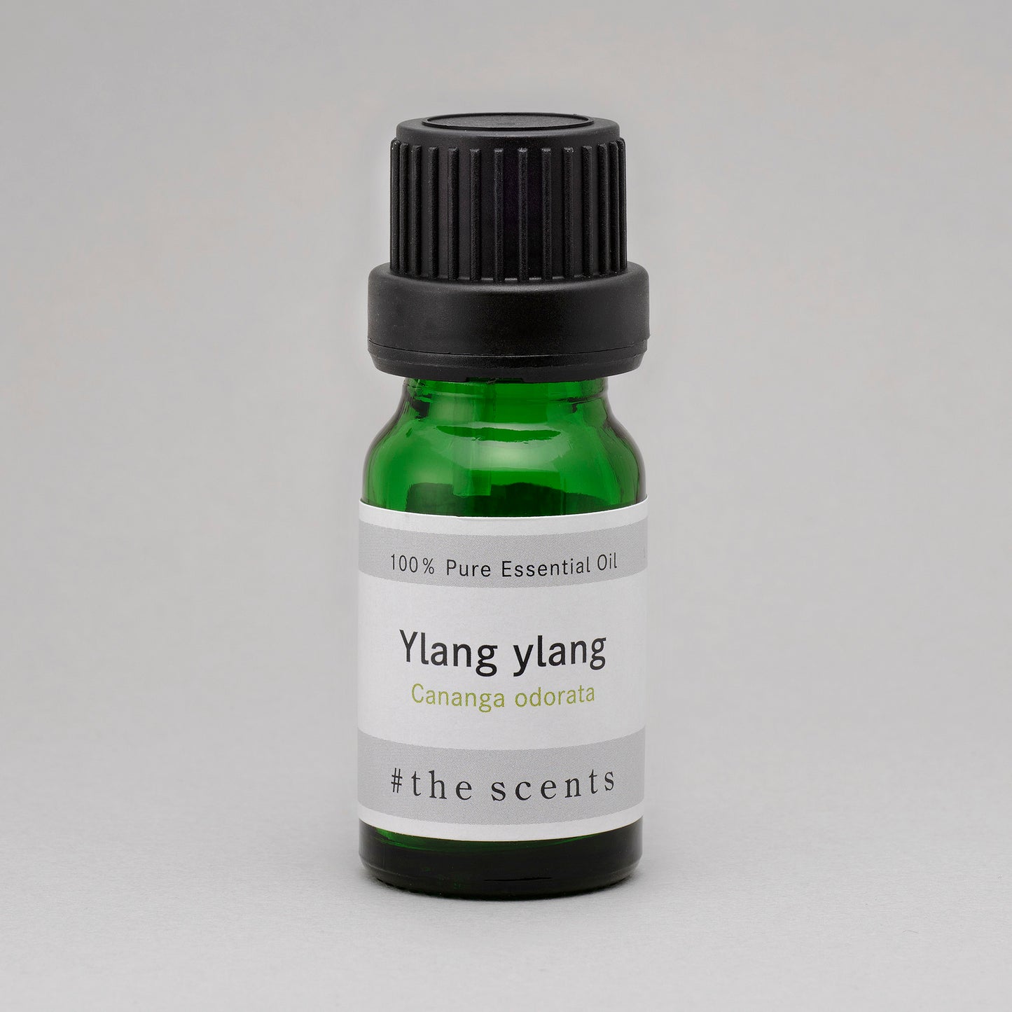 Ylang ylang(イランイラン)