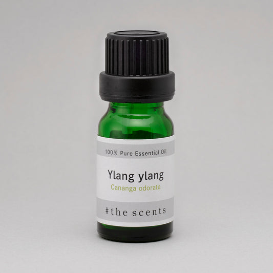 Ylang ylang(イランイラン)