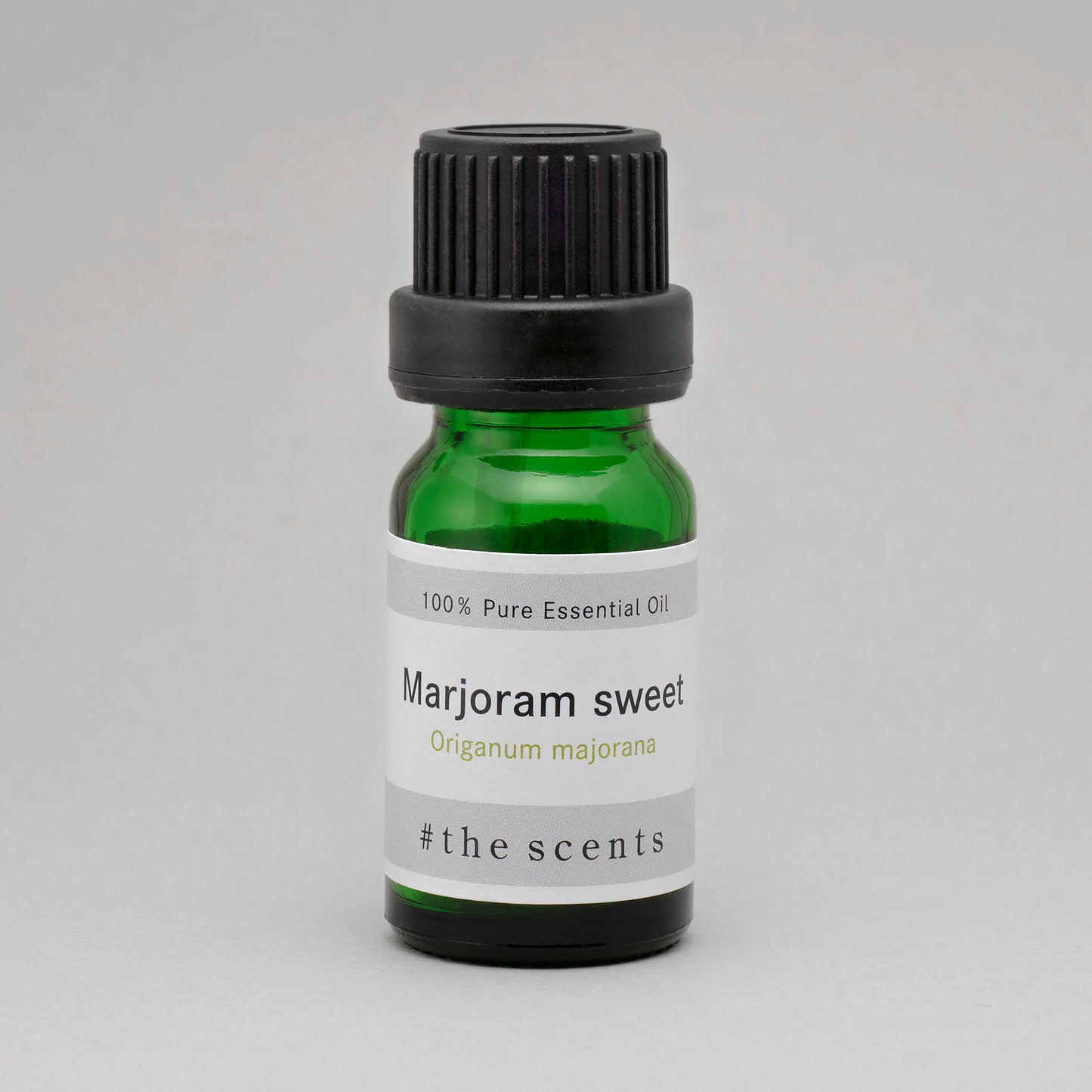 Marjoram sweet(マジョラムスイート)