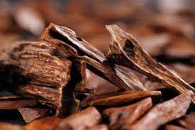Sandalwood(サンダルウッド)