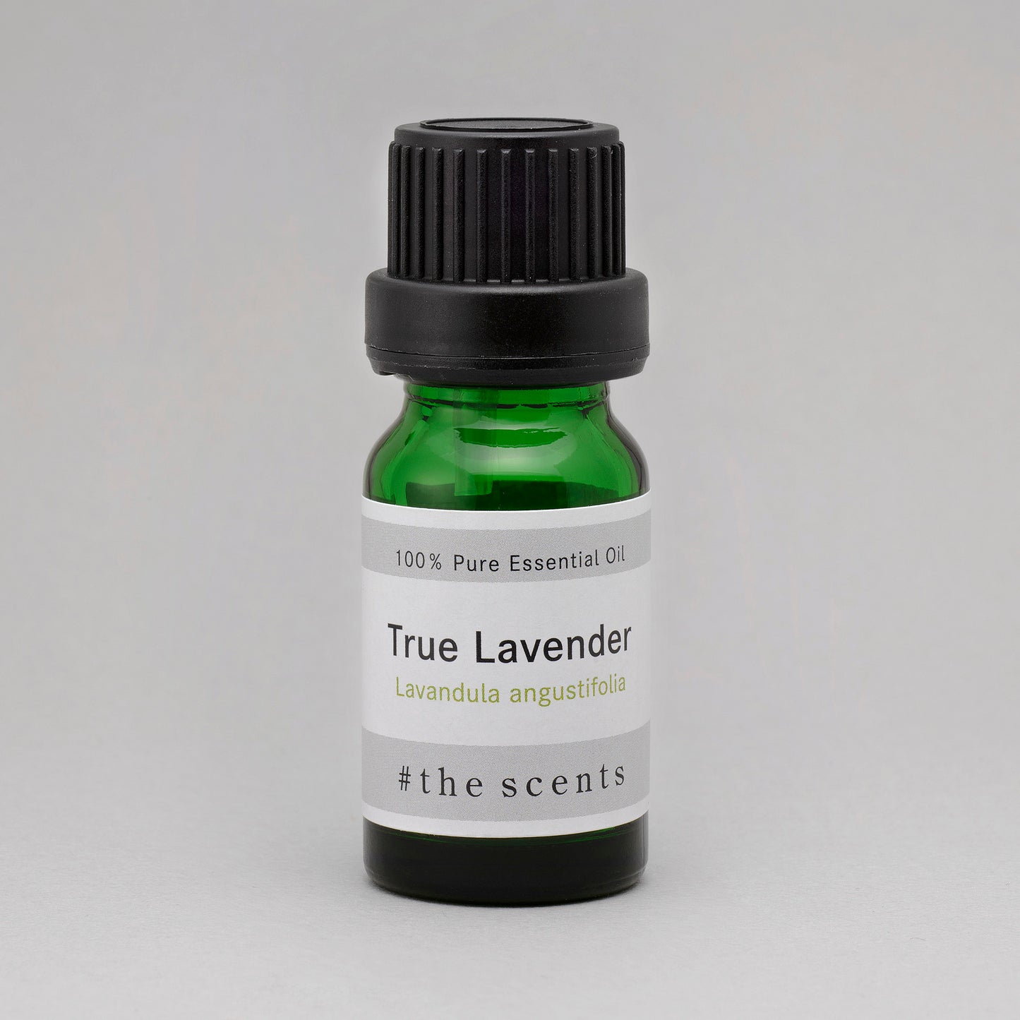 True Lavender(ラベンダー・アングスティフォリア)
