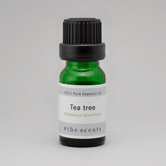 Tea tree(ティートゥリー)