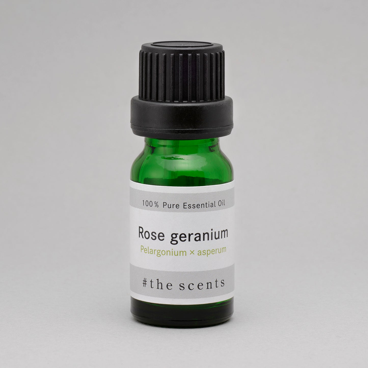 Rose geranium(ローズゼラニウム)