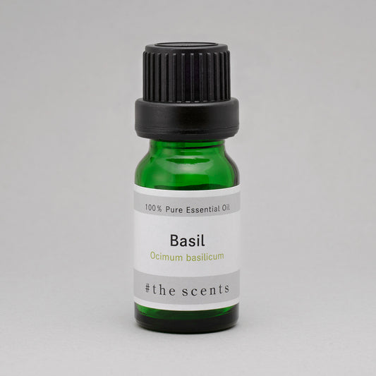 Basil(バジル)